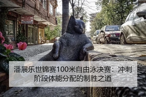 潘展乐世锦赛100米自由泳决赛：冲刺阶段体能分配的制胜之道
