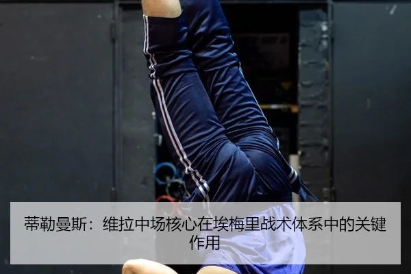 di-lei-man-si-wei-la-zhong-chang-he-xin-zai-ai-mei-li-zhan-shu-ti-xi-zhong-de-guan-jian-zuo-yong-2-547.jpg