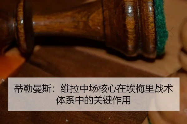 di-lei-man-si-wei-la-zhong-chang-he-xin-zai-ai-mei-li-zhan-shu-ti-xi-zhong-de-guan-jian-zuo-yong-3-472.jpg
