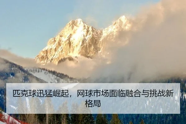 pi-ke-qiu-xun-meng-jue-qi-wang-qiu-shi-chang-mian-lin-rong-he-yu-tiao-zhan-xin-ge-ju-2-541.jpg