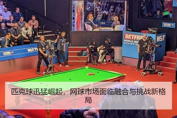 pi-ke-qiu-xun-meng-jue-qi-wang-qiu-shi-chang-mian-lin-rong-he-yu-tiao-zhan-xin-ge-ju-3-332.jpg