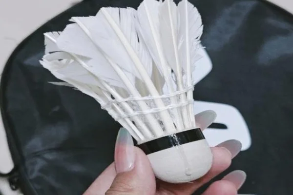 世界女子手球锦标赛中国对阵挪威小组赛出线形势关键战全面分析